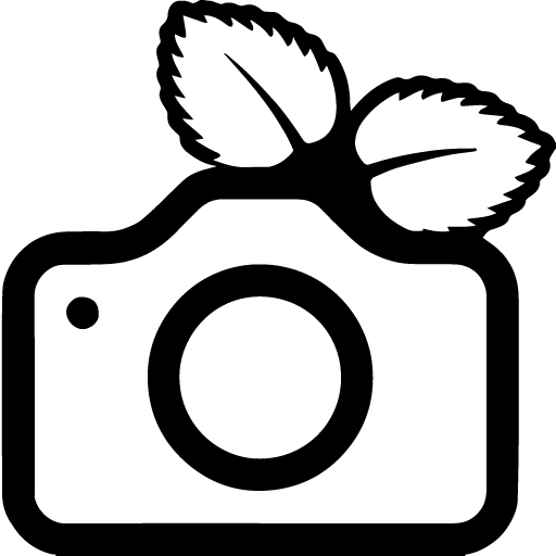 PiGallery 2